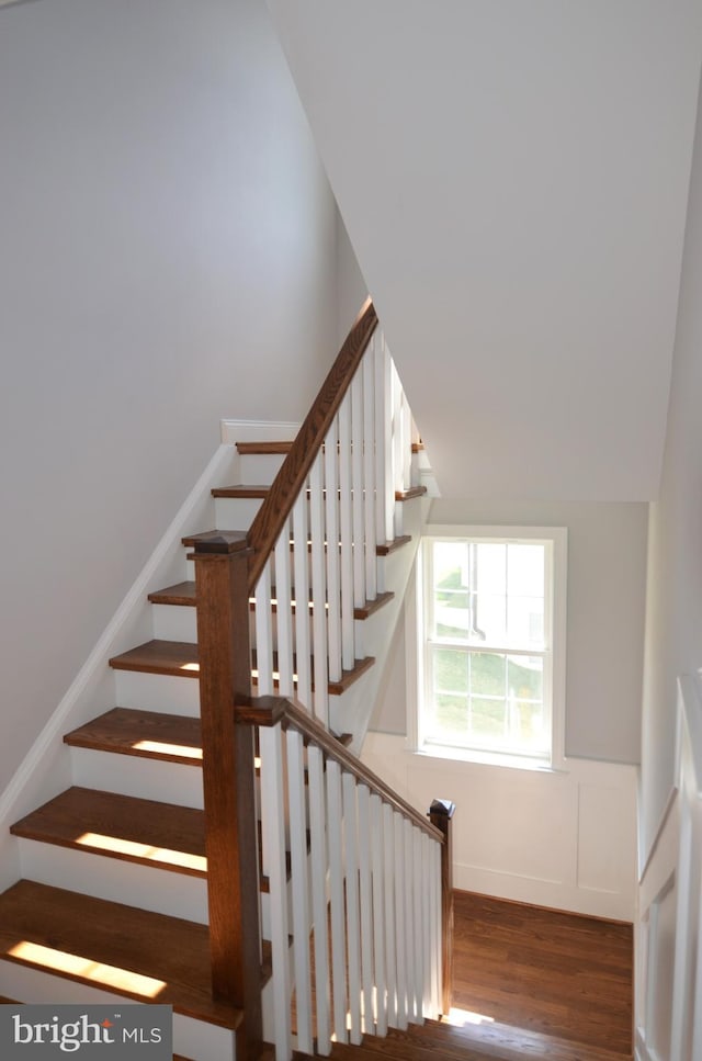 stairs with dark hardwood / wood-style floors