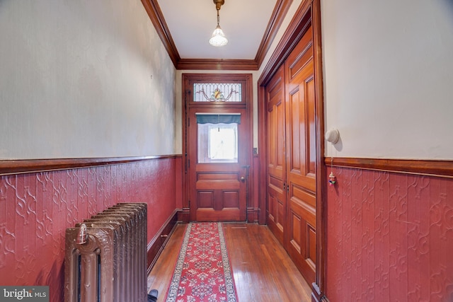 doorway with radiator, dark hardwood / wood-style floors, and crown molding