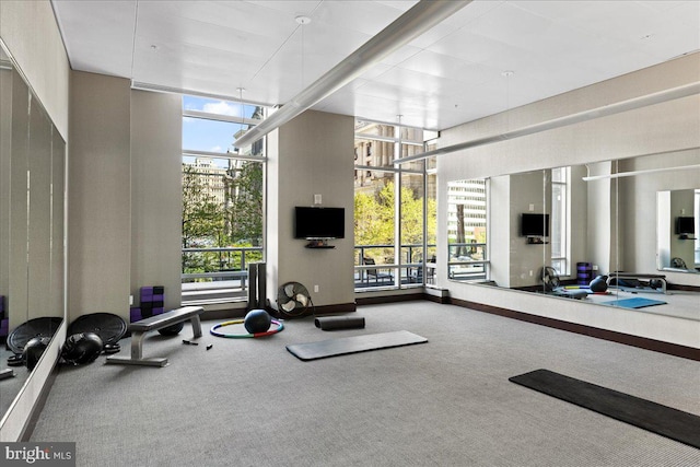 workout area featuring a wealth of natural light, carpet, and expansive windows