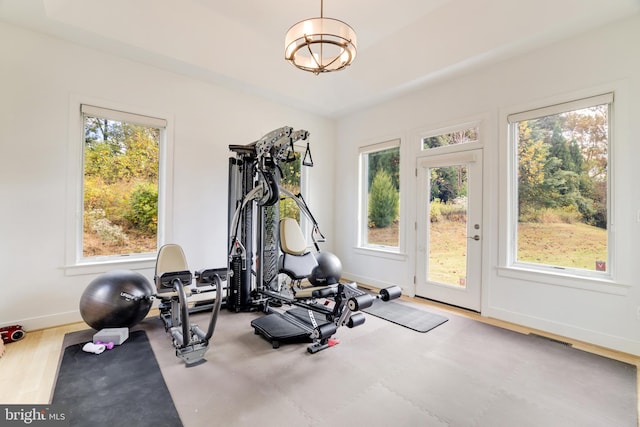 workout room with light hardwood / wood-style flooring