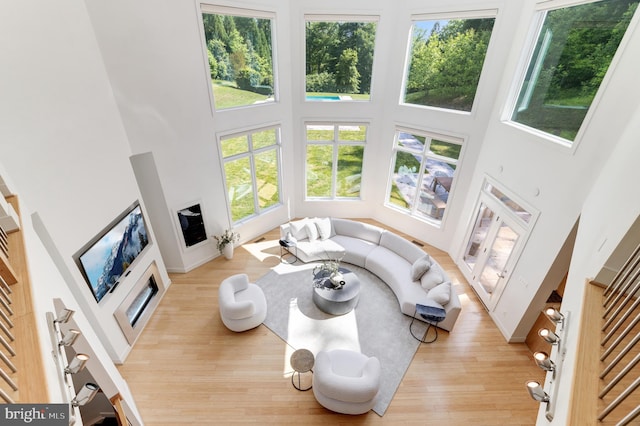 living room featuring a towering ceiling and light hardwood / wood-style flooring