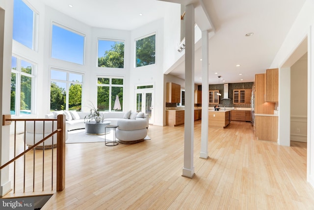 living room with french doors and light hardwood / wood-style flooring