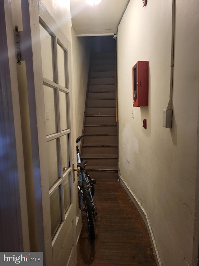 hallway featuring dark hardwood / wood-style flooring