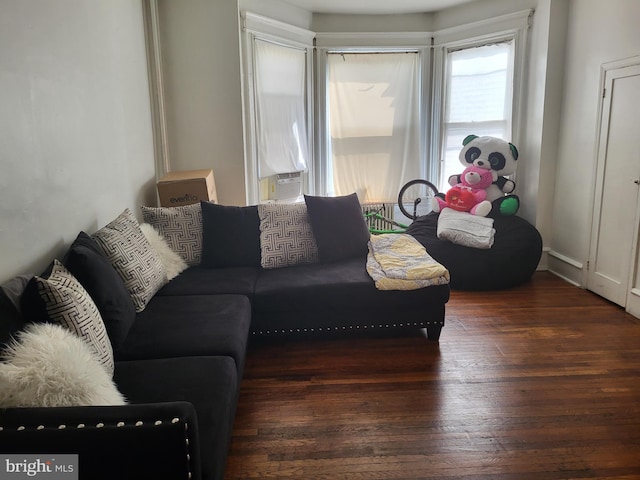 living room featuring dark hardwood / wood-style floors