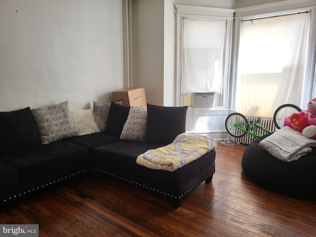 living room with dark hardwood / wood-style floors and a wealth of natural light