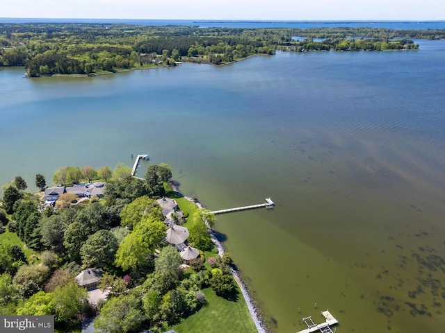 birds eye view of property with a forest view and a water view