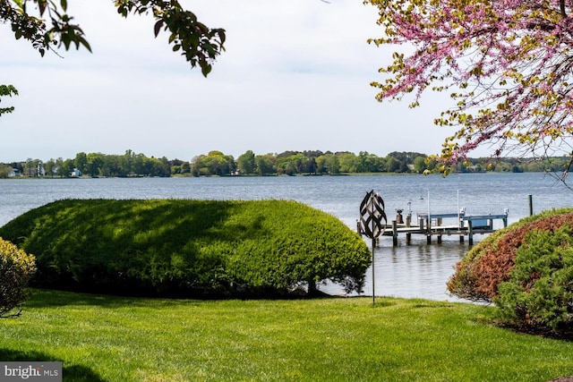 dock area featuring a yard and a water view