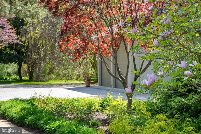 view of home's community with a garage