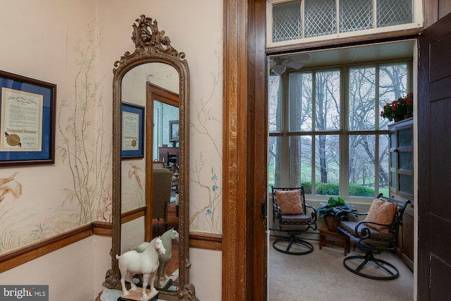 hallway with carpet flooring