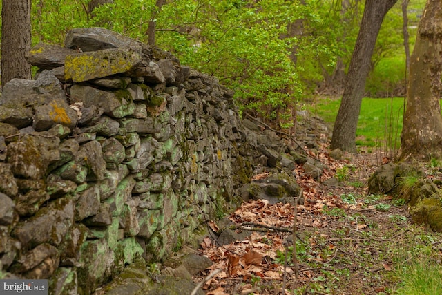 view of local wilderness