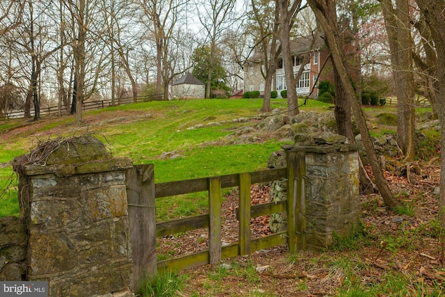 view of yard