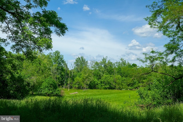 view of nature