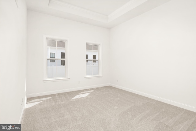 carpeted spare room with ornamental molding and a tray ceiling