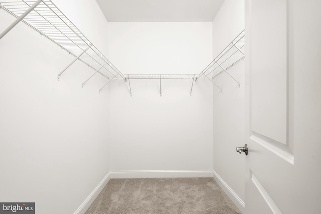 walk in closet with carpet