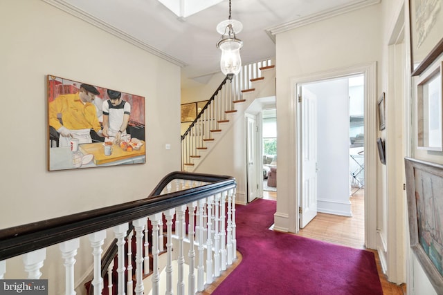 hallway featuring crown molding and carpet floors