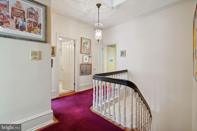 corridor featuring crown molding and dark colored carpet