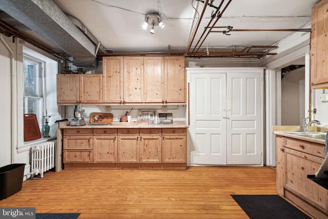 kitchen featuring sink, light hardwood / wood-style floors, and radiator