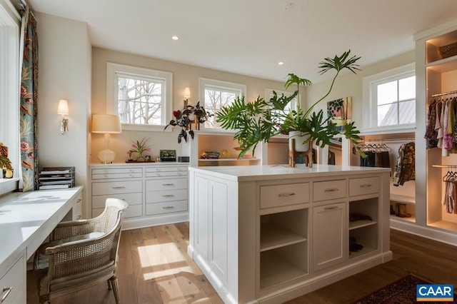 spacious closet with light wood-type flooring