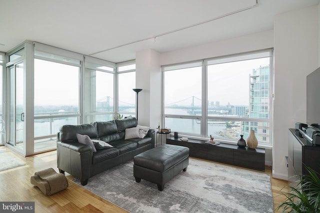 living room featuring light hardwood / wood-style flooring, a water view, and rail lighting