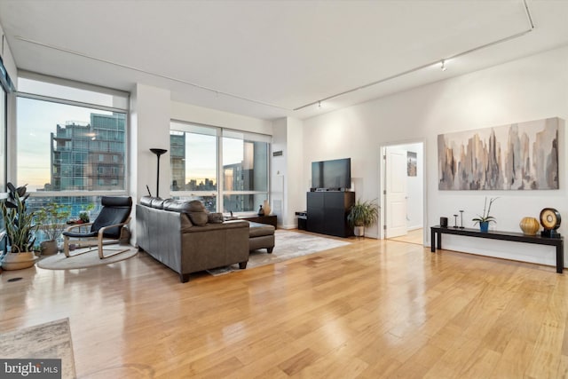 living room featuring light hardwood / wood-style flooring and track lighting