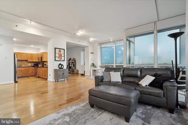 living room featuring track lighting and light hardwood / wood-style flooring