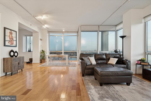 living room featuring plenty of natural light, light hardwood / wood-style floors, and a wall of windows