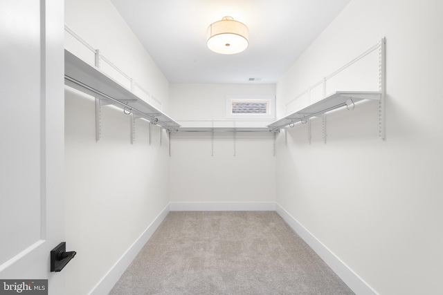 spacious closet featuring light colored carpet