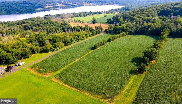 bird's eye view featuring a rural view and a water view