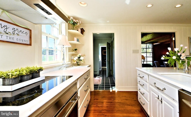 kitchen featuring dark hardwood / wood-style flooring, white cabinets, appliances with stainless steel finishes, and plenty of natural light