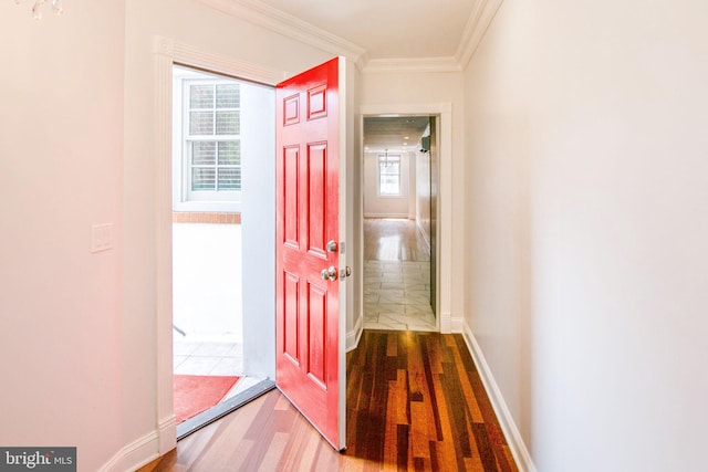 foyer with ornamental molding and hardwood / wood-style floors