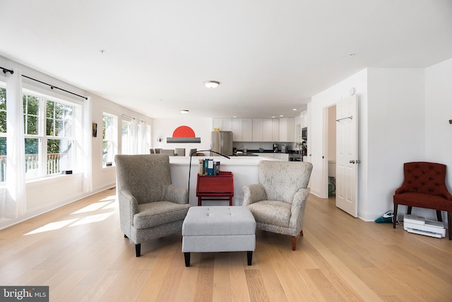 living room featuring light hardwood / wood-style floors