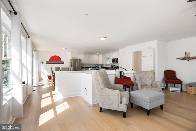 living room with plenty of natural light and light hardwood / wood-style flooring