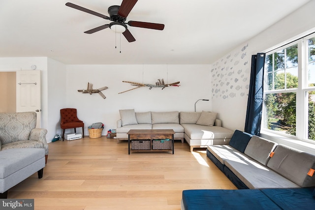 living room featuring ceiling fan and light hardwood / wood-style flooring