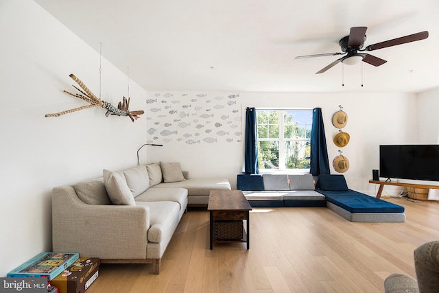 living room with ceiling fan and light hardwood / wood-style flooring