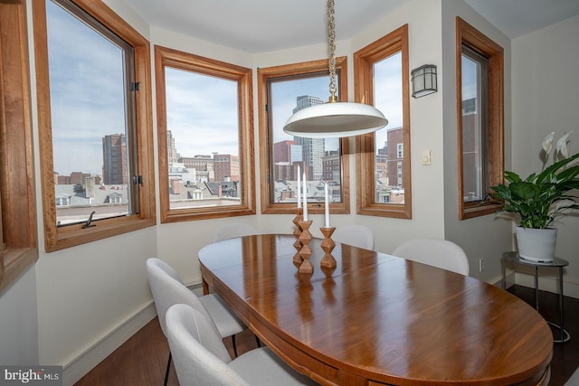 dining room featuring a baseboard radiator