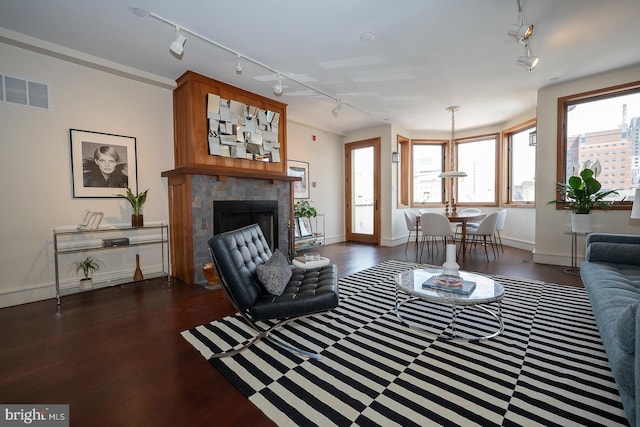 living room with dark hardwood / wood-style flooring, plenty of natural light, track lighting, and a fireplace