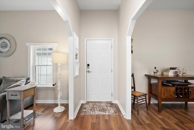 foyer entrance with a high ceiling and dark hardwood / wood-style flooring