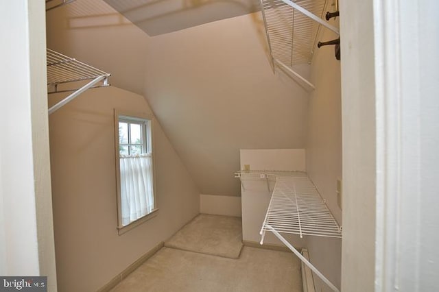 walk in closet with vaulted ceiling and carpet