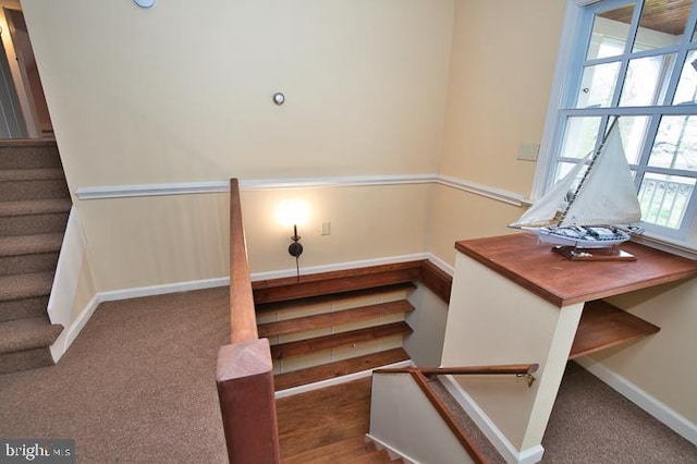 stairway featuring carpet