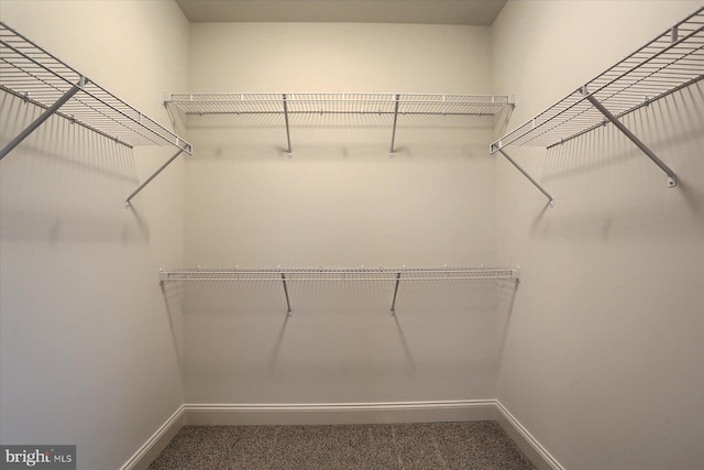 spacious closet with carpet