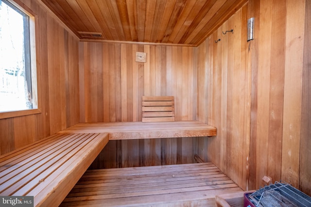 view of sauna featuring a wealth of natural light