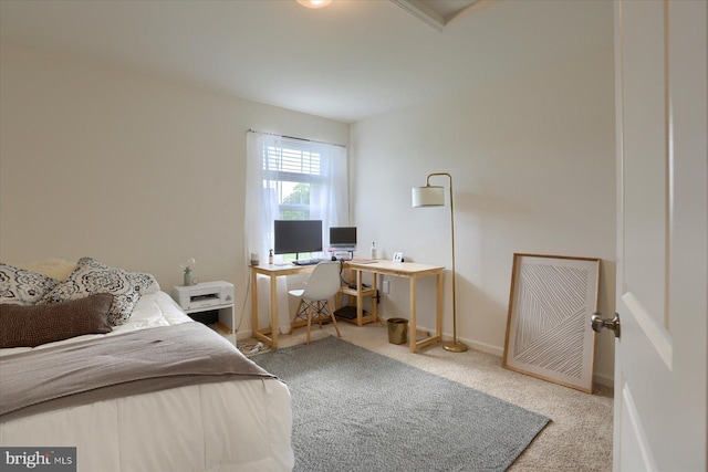 bedroom with carpet flooring