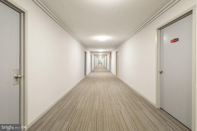 hallway with crown molding, light carpet, and a textured ceiling