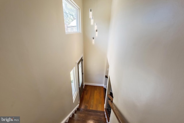 stairs featuring dark hardwood / wood-style flooring