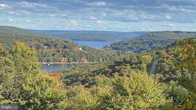 property view of mountains featuring a water view