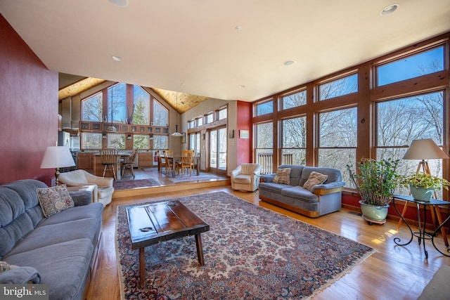 living room featuring light wood-type flooring and high vaulted ceiling