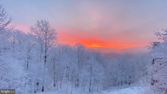 view of snow covered land