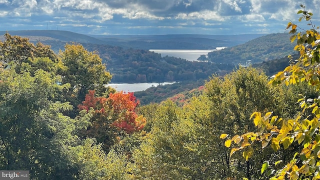 mountain view featuring a water view