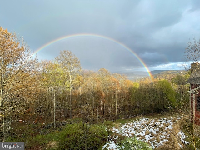 view of local wilderness