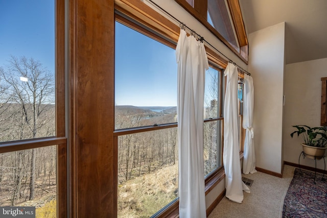 room details featuring carpet flooring